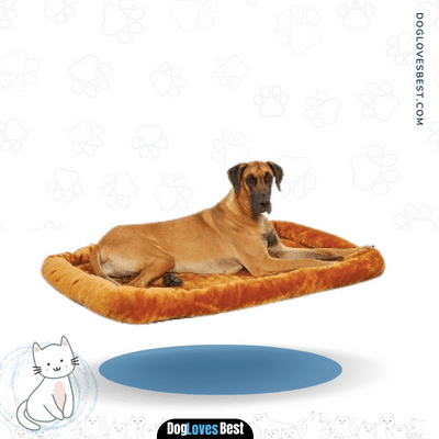 MidWest Bolster Pet Bed