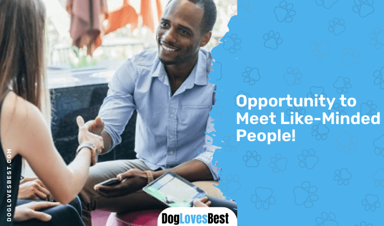 Opportunity to Meet Like-Minded People