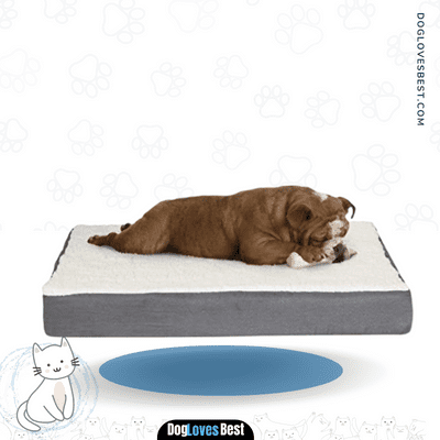 Orthopedic Sherpa Top Pet Bed with Memory Foam