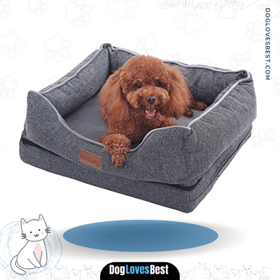 PLS Birdsong Fusion Orthopedic Dog Bed 