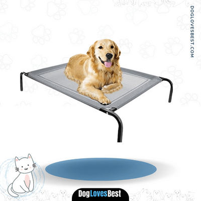  Paws & Pals Elevated Dog Bed Steel Frame