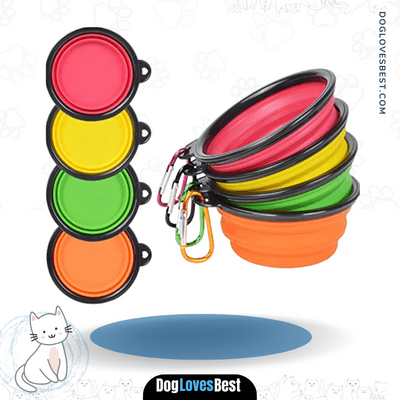 Pet Bonus Collapsible Dog Bowl