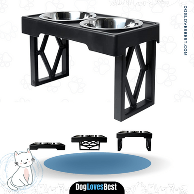 Pet Zone Designer Elevated Dog Bowls