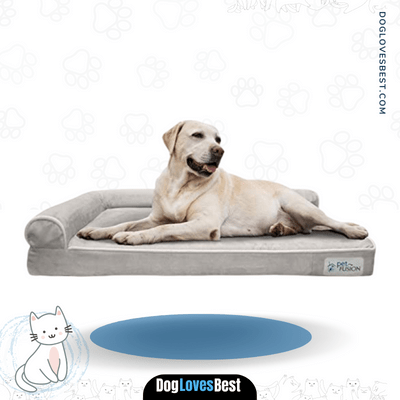 PetFusion BetterLounge Dog Bed