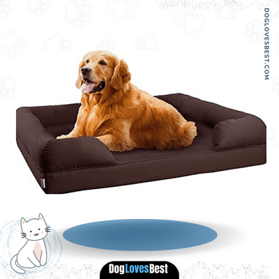 Petlo Orthopedic Pet Sofa Bed