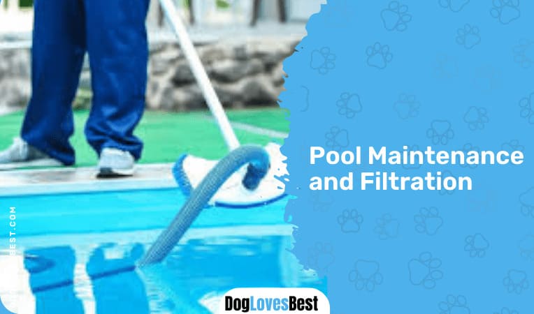 Pool Maintenance and Filtration