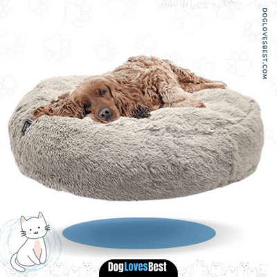 SportPet Designs Luxury Sofa Lounge Pet Bed