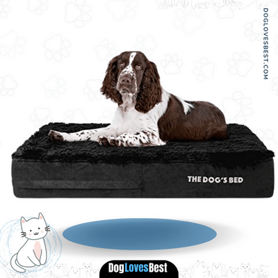 The Dog's Balls Premium Memory Foam Dog Bed