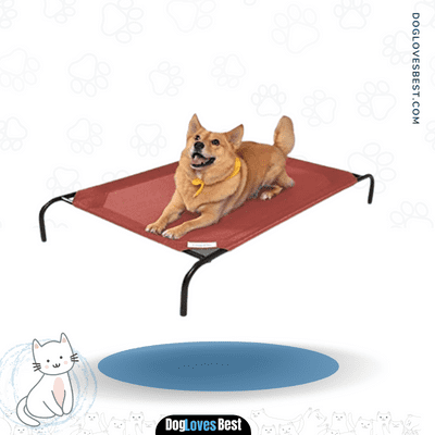 The Original Elevated Pet Bed by Coolaroo