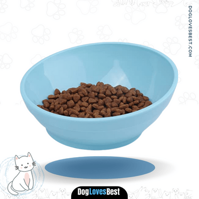 Think Pet Slanted Food Bowl