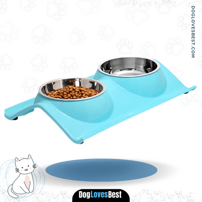 UPSKY Double Stainless Steel Pet Feeder 