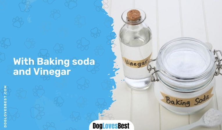 With Baking soda and Vinega