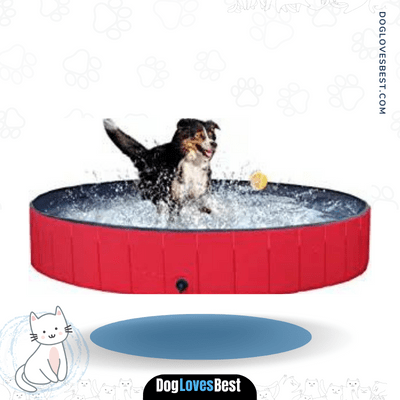 Yaheetech Foldable Pet Puncture Proof Pool