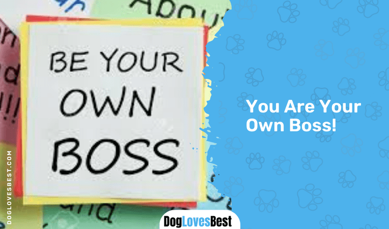  You Are Your Own Boss