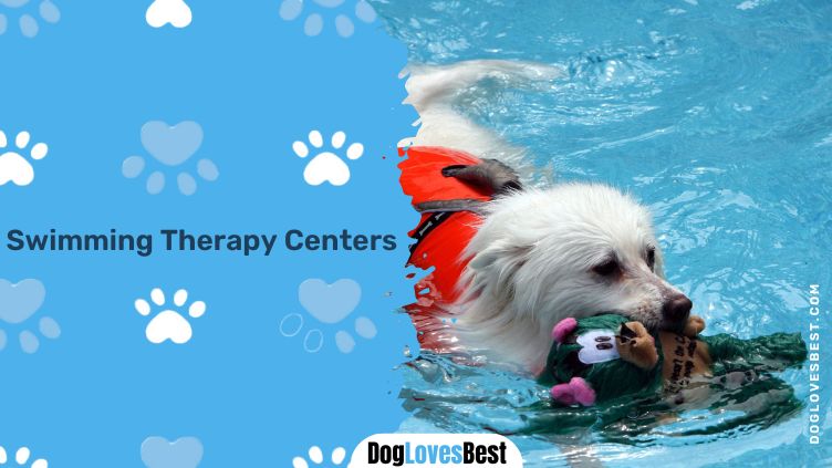 Swimming Therapy Centers