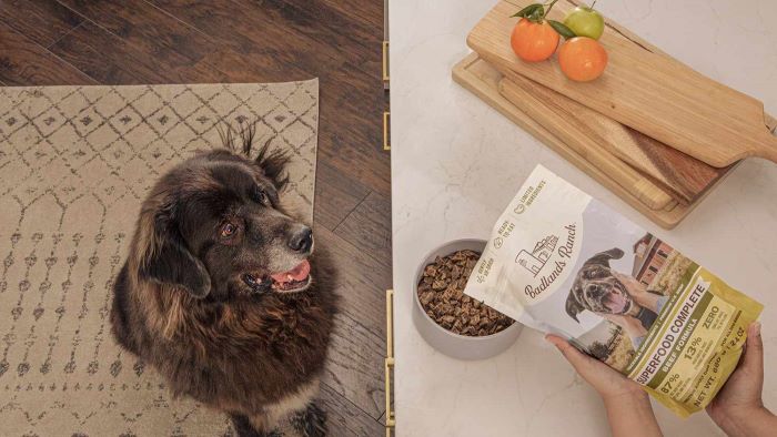 Badlands Pet Food A Journey into Canine & Feline Nutrition Badlands Pet Food A Journey into Canine & Feline Nutrition