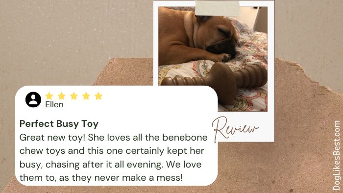 Benebone Zaggler Rolling Dog Chew Toy Review