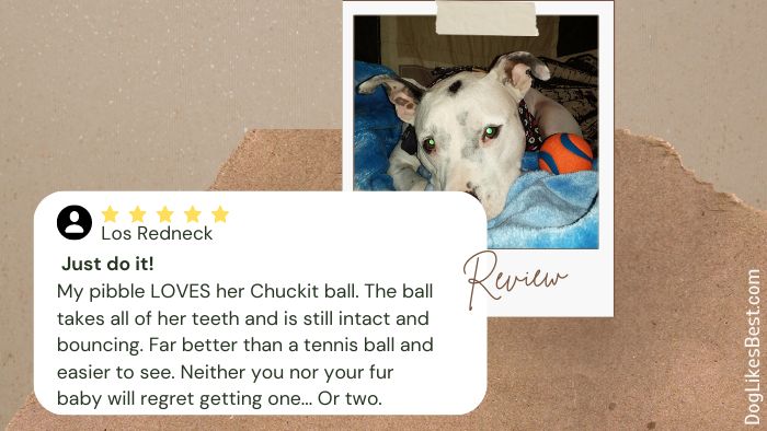 Chuckit! Ultra Ball Dog Toy Amazon Review