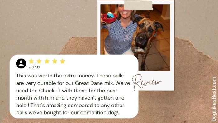 Chuckit! Ultra Ball Dog Toy Amazon Review