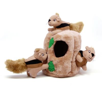 Outward Hound Hide-A-Squirrel Plush Dog Toy