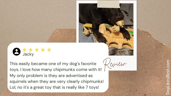 Outward Hound Hide a Squirrel Small Dog Toy Review