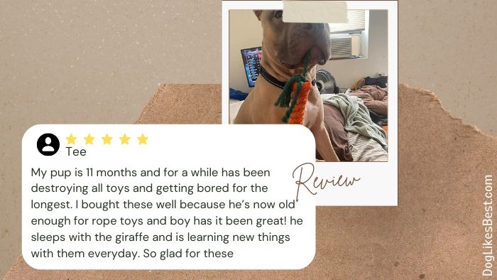 Pacific Pups Products Rope Toys Review