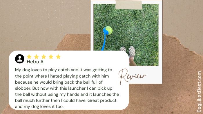 Chuckit! Ball Launcher & Ball Sets Review