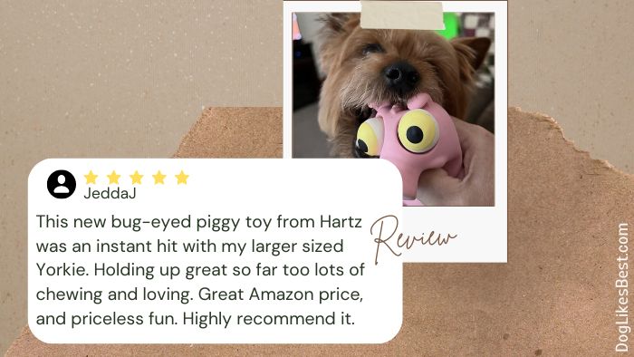 Hartz Bug Eyes Squeak Latex Dog Toy Review